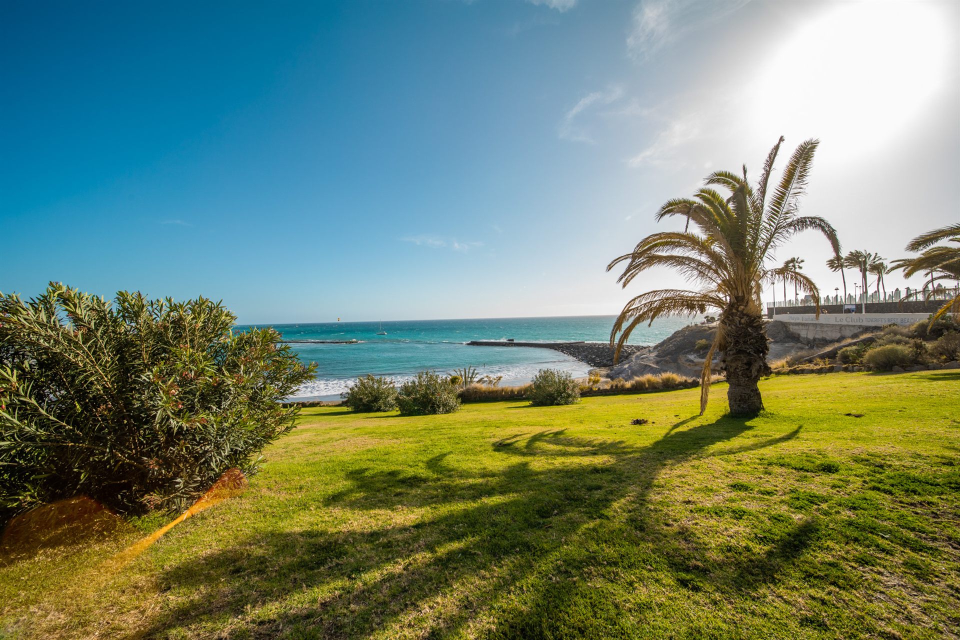 Playa Fañabé's green field area, ideal for family photos